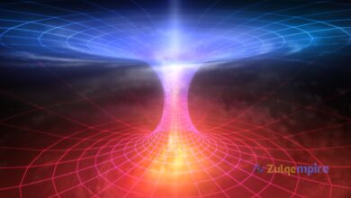 Wormholes: Science Fiction to Fusion Reactors?
